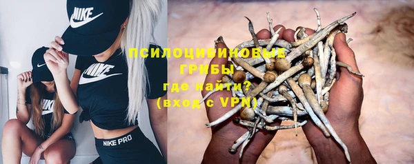 молекула духа Алексеевка