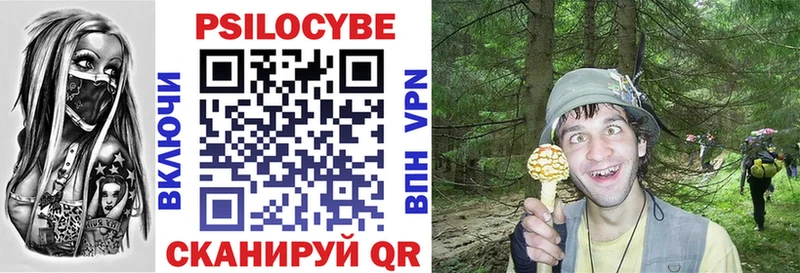 хочу наркоту  hydra ссылка  Галлюциногенные грибы Cubensis  Вологда 